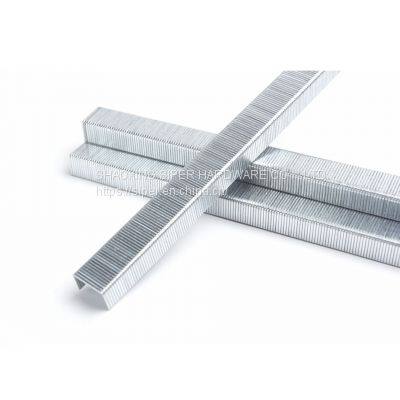 Hardware Fastener Nails Factory Price Durable Quality Model 13series 13/6 13/8 131/6 131/8 Furniture Staples photo-2