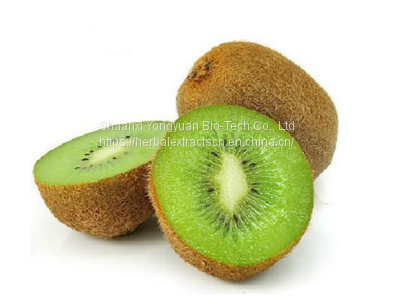 Kiwi fruit extract, Kiwi fruit PE., Kiwi fruit powder, Actinidia chinensis POWDER