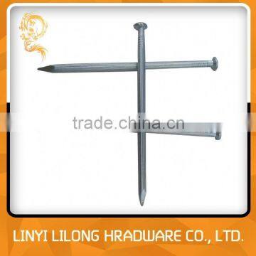 Made In China Galvanized Concrete Nails/Steel Nails