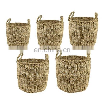 Set of 5 sizes woven plant baskets Seagrass Planter Storage Basket Plant Holder Storage Basket Wholesale