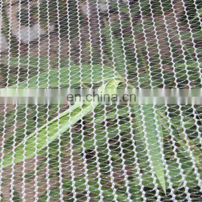 50g Agricultural HDPE Anti Hail Net Screenhouse for Plants Protection Fruit Apple Tree With UV 5 Years