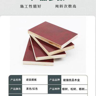 Formwork, Shuttering Panel, Construction Plywood photo-2