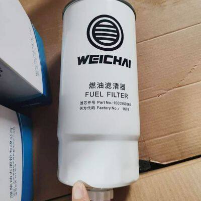 1000950365 Filter Weichai WH17 Marine Generator Set 6170 Diesel Filter