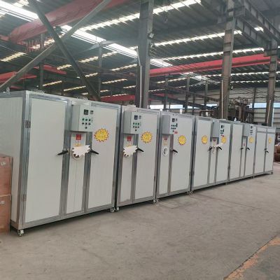 220V Industrial Food Drying Chamber for Fruits & Vegetables With 10kW Heating System photo-4