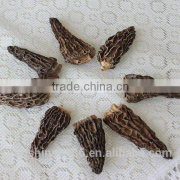 Market Prices for Morel Mushroom with Free Shipping From Yunnan China