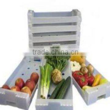 Polypropylene plastic vegetable box PP plastic material fruit packing box fruit gift packing box