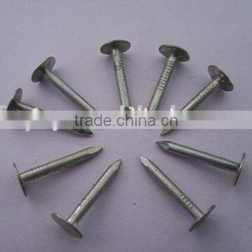 galvanized clout nails factory