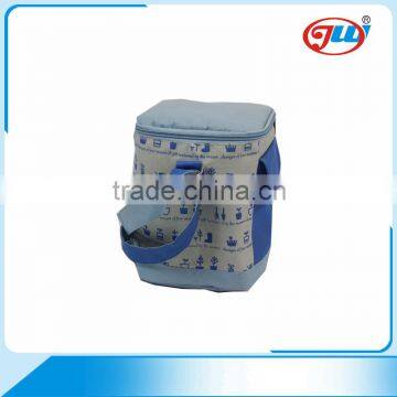 Hot sale new design promotion insulated cooler bag for frozen food