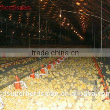 Automatic Broiler Breeder Farming Equipment photo-2