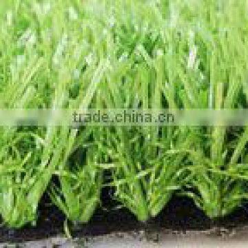 Artificial field grass turf(GD-20N)