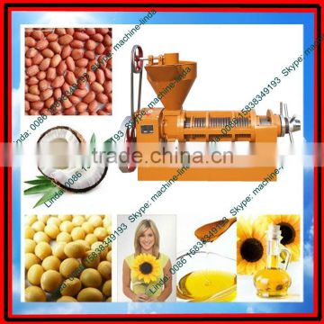 cold press oil machine price