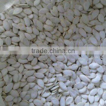 Snow White Pumpkin Seeds
