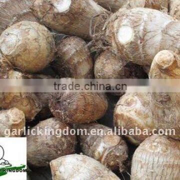 40g and up fresh taro