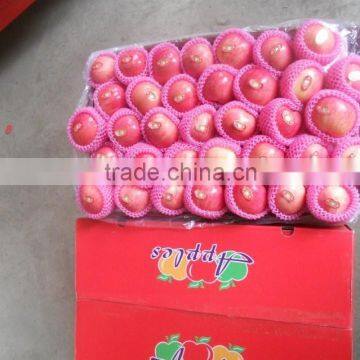 Mature Natural Red Apple Wholesale Fuji Apple China With Fresh Apple Price photo-4