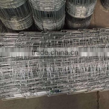 galvanized 0.8m height with 7 line wires field fence of 100m length