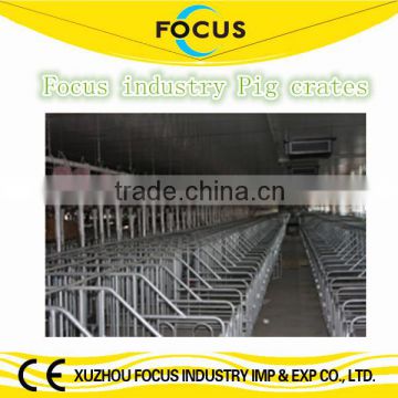 Focus industry pig raising gestation crates