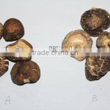 Dried Shiitake (Black Surface ) Thin