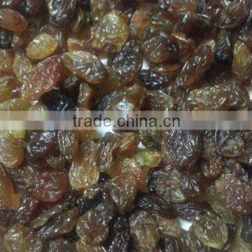 Malayar raisins