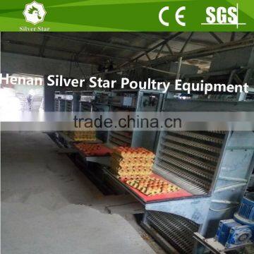 Automatic chicken egg collecting machine for farm