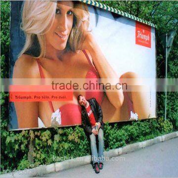 500*500D, 340g Printing Materials Flex Banner, Flex Advertisement Banner photo-4