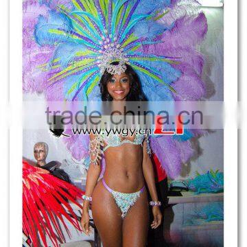 ZPDECOR No.1 Supplier in China Size From 6''-8'' Factory Exporting Popular Dyed MIx Colors Ostrich Feathers Plume for Decoration photo-3