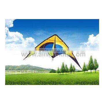 Dual Line Delta Stunt Kites - Curved Edge Kites