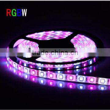Decorative LED Rope Light RGBW 4color in One Strip 12V 24V Available photo-3