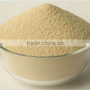 High Protein Soybean Meal