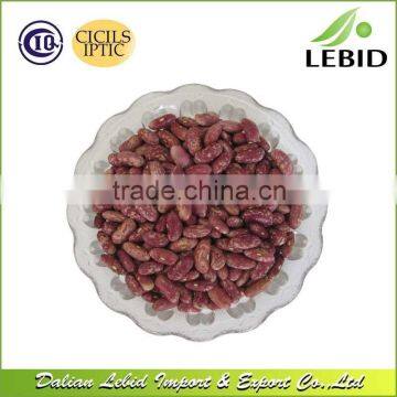 Low Price Red Speckled Kidney Bean With Competitive Price