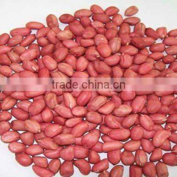 50/60 red skin peanut kernels manufacturer,china original