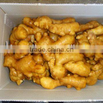 Low Price Ginger in China