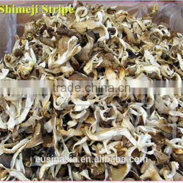 dry oyster stripe dry pleurotus ostreatus dry mushroom