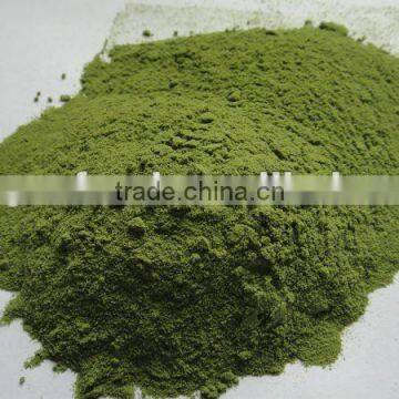 Dehydrated spinach powder 2012 Grade A