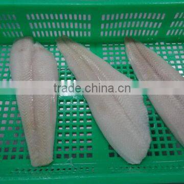 Wholesale Frozen Greenland Halibut Fish Fillet