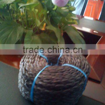 Professional pp Black Rope