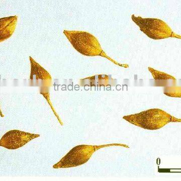 Fructus Forsythiae Extract Powder