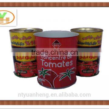 580g hot sell canned ketchup,tomato paste with best price