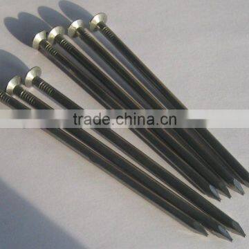 galvanized iron nails