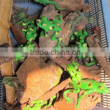 sawdust frog