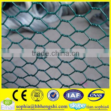 hexagonal wire mesh/ chicken wire mesh best selling