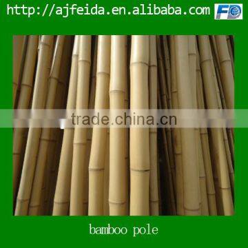 Raw and high quality bamboo pole.