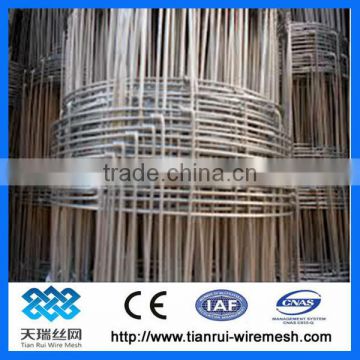 Grassland fence / animal fence / knotted mesh fence