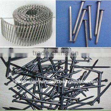 Bright Common Round Iron Wire Nails