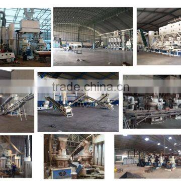 Palm Kernel Biomass Waste Recycling Pellet Production Line photo-2