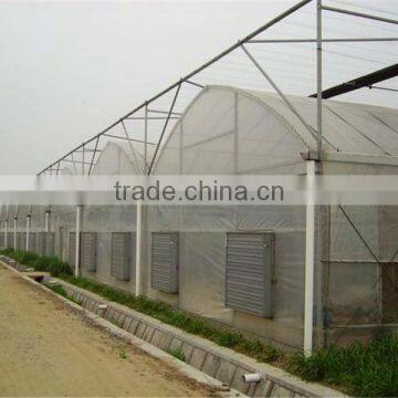Muiti Tunnel Agriculture Greenhouse for Sale photo-3