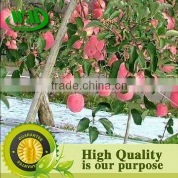 High Quality Silver Reflective Ground Cover Fabric photo-2