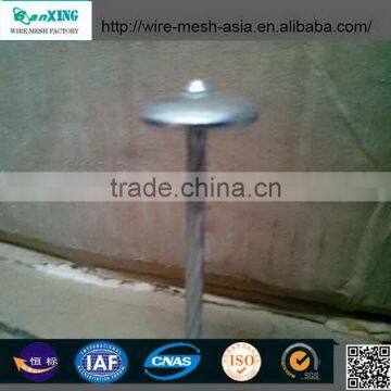 China Anping Sanxing 2.5" Umbrella Roofing Nail photo-2