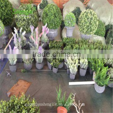 SJLJ013548 Artificial Potted Plant and Tree Home Garden Decoration Artificial Topiary Tree photo-2