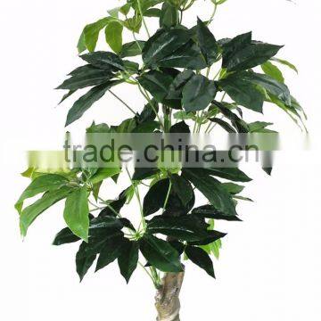 China Hot Sale Evergreen Fake Money Tree ,artificial Pachira photo-6