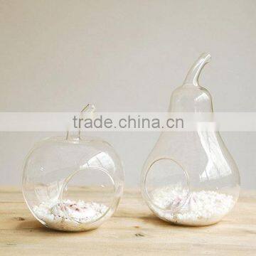Apple and Pear Shaped Glass Vase / Clean Glass Vase / Glass Vase photo-2